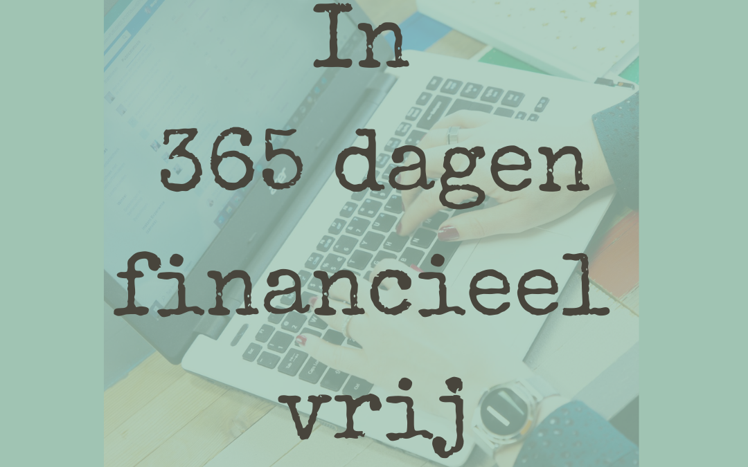 in 365 dagen financieel vrij