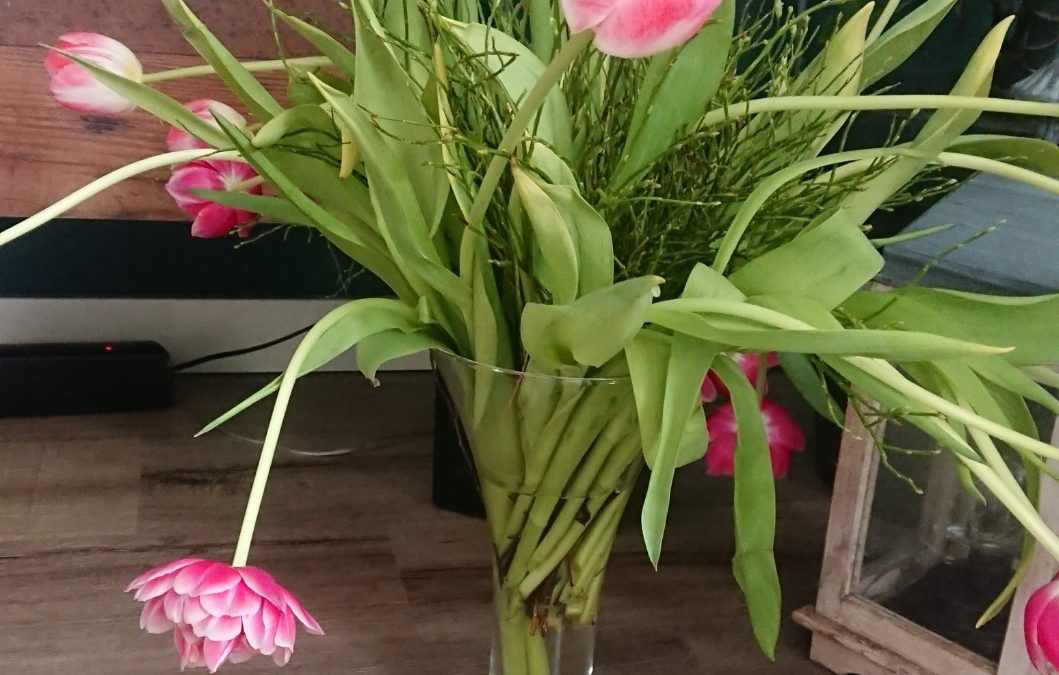 Wat tulpen te maken hebben mijn herstel van long covid