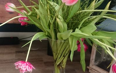 Wat tulpen te maken hebben mijn herstel van long covid