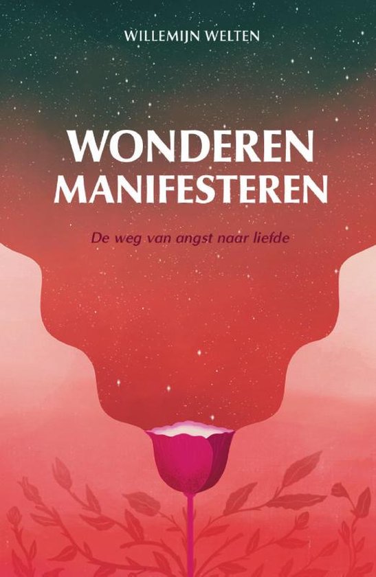 Wonderen Manifesteren Willemijn Welten 